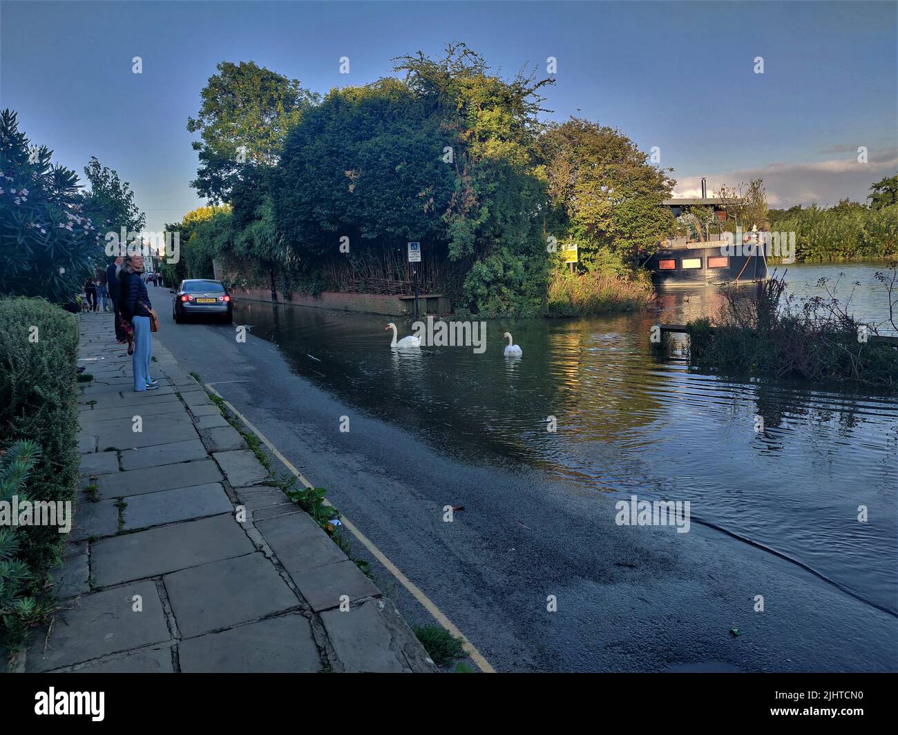 Thames overflowing onto the road, flooded Thames (Chiswick, London
