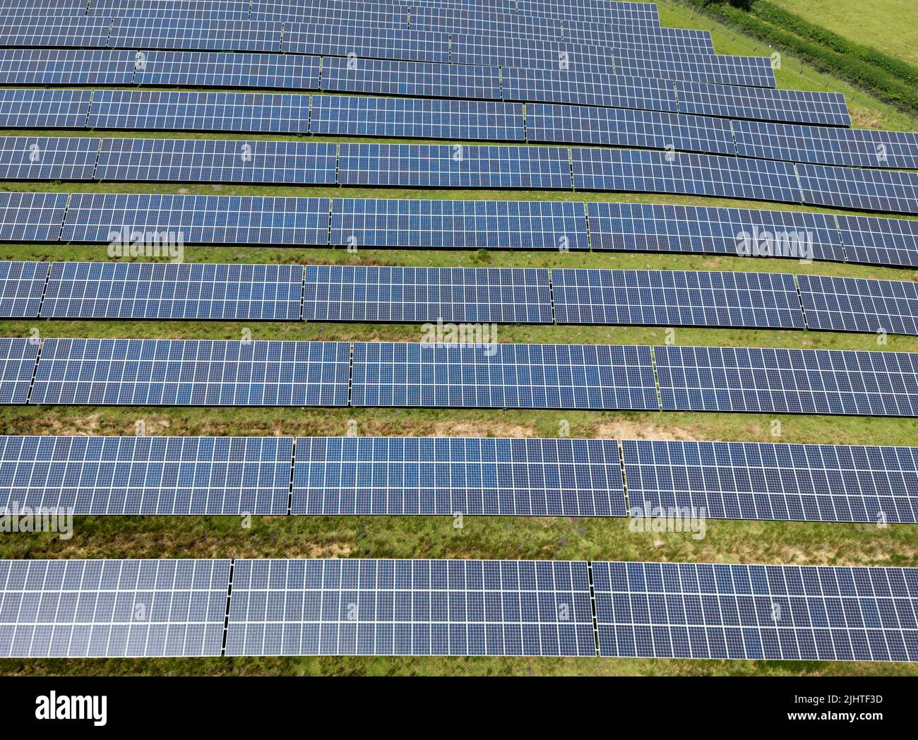 Aerial view of rows of solar panels instaked in a farm field. No people ...