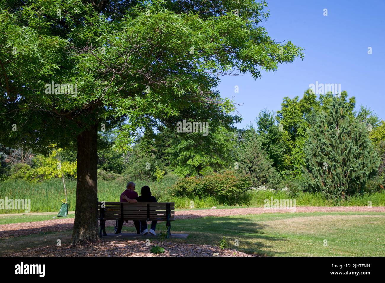 Toronto, Ontario / Canada - 07/07/2022: Couple sitting on a park bench under a tree.  Relaxing in a public park in the morning Stock Photo