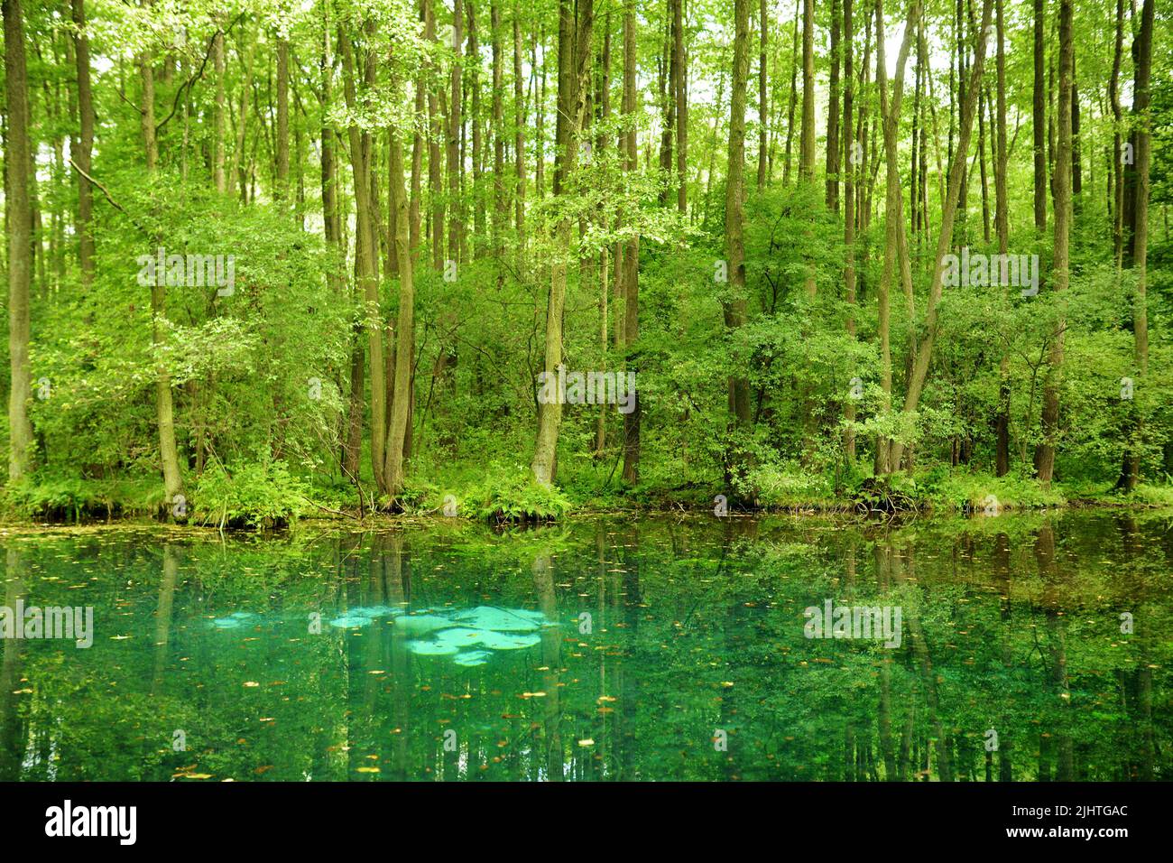 Niebieskie Zrodla or Blue Springs, famous for two pools fed by an ...