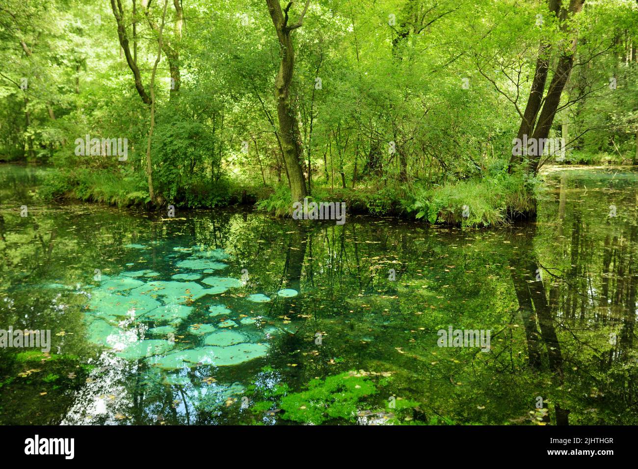 Niebieskie Zrodla or Blue Springs, famous for two pools fed by an ...