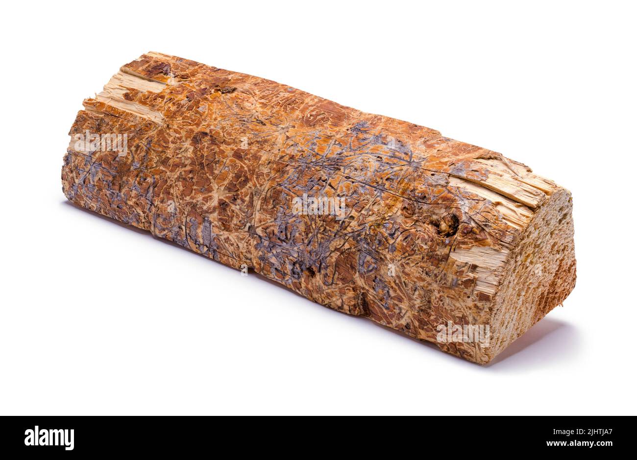 Single Firewood Log Cut Out On White. Stock Photo