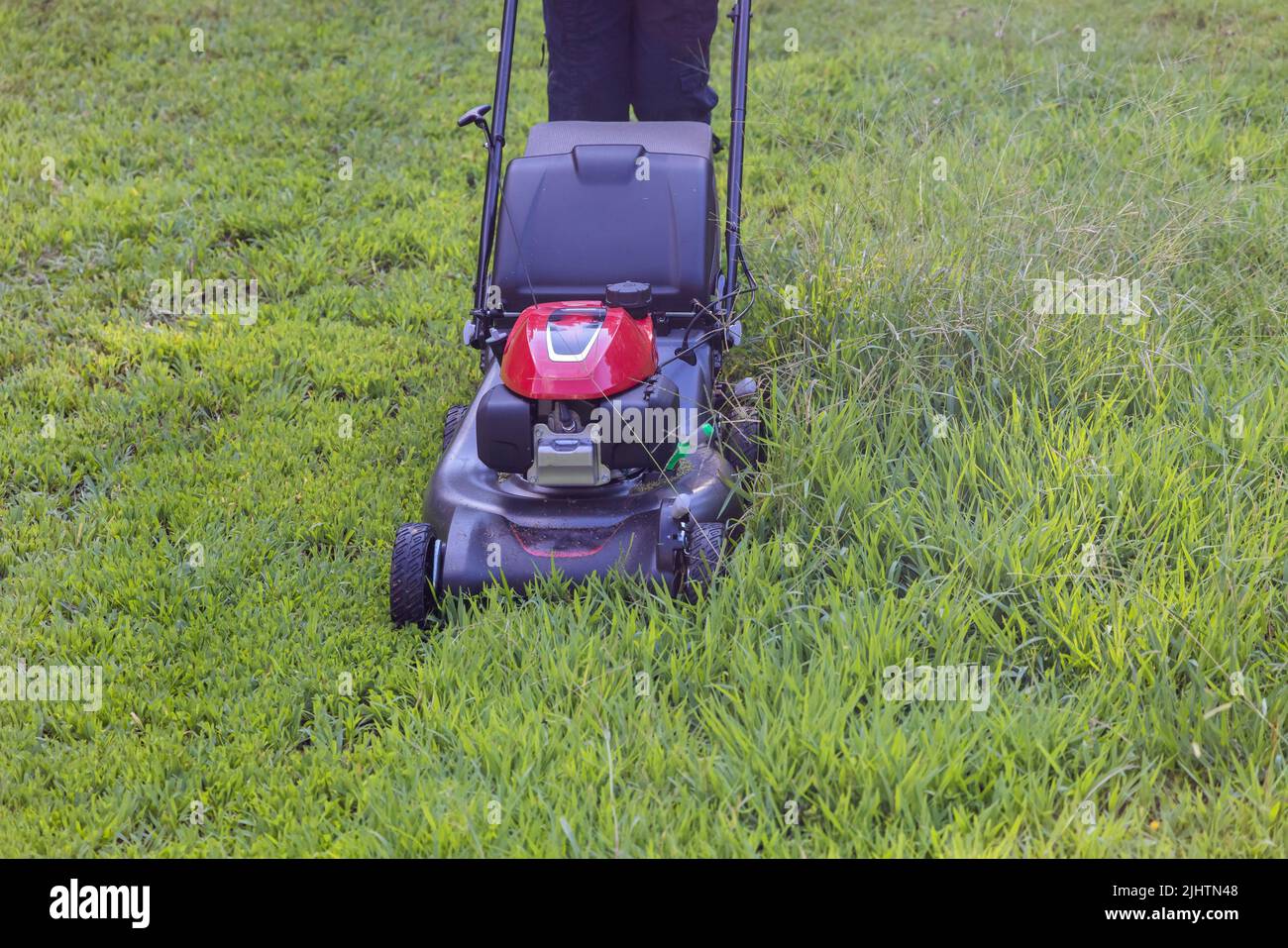Using a lawn mower on a green lawn with grass cutting is a garden care tool you need to use to take care of your garden Stock Photo