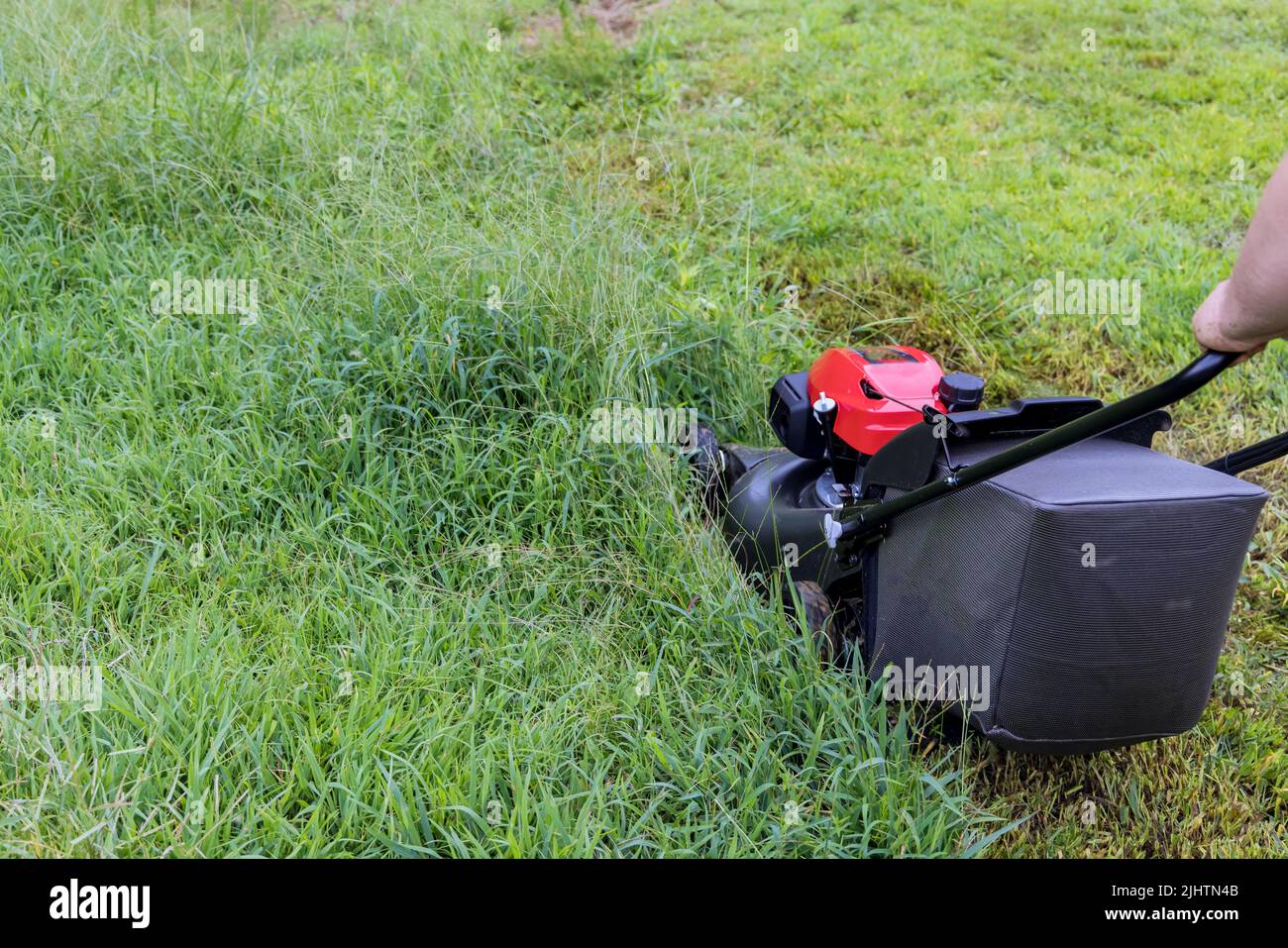 A garden care work tool used for cutting grass on a green lawn with a lawn mower in motion Stock Photo