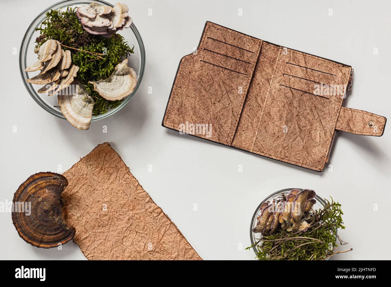 Vegan leather wallet made from mushroom mycelium, vegan bio leather