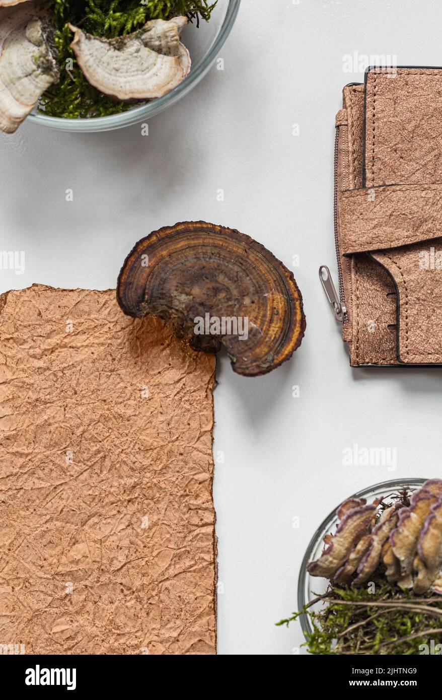 Vegan leather wallet made from mushroom mycelium, vegan bio leather