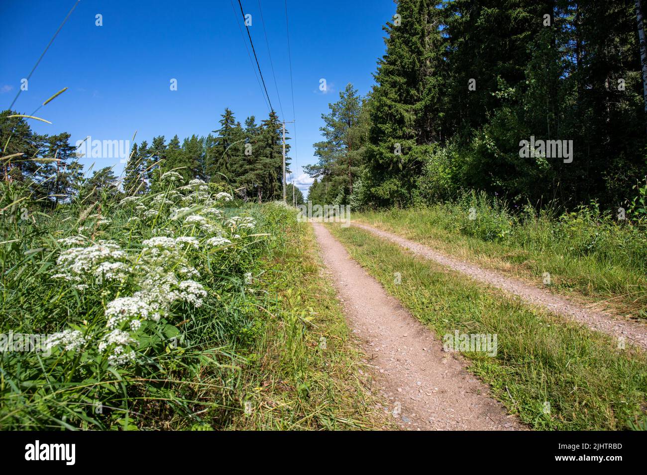 Rural dirt road in Orivesi, Finland Stock Photo