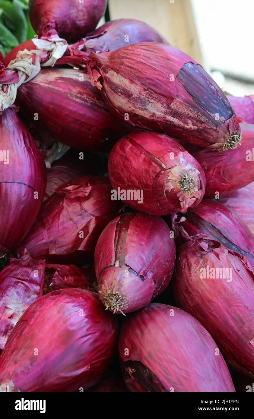 The sweet red onion of tropea hires stock photography and images Alamy