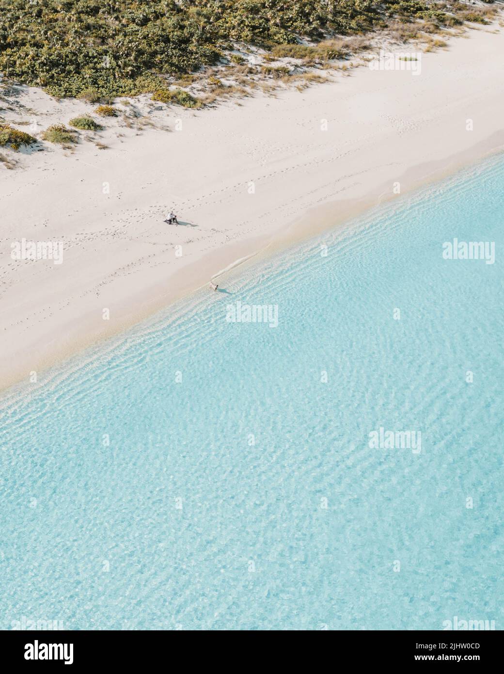 Aerial view of man on beach with dog in the bahamas Stock Photo Alamy