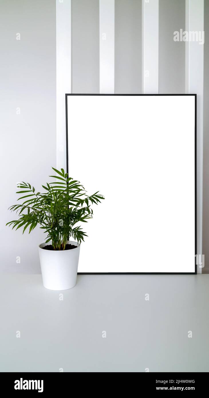 Modern panel with plant in an office room. Minimalist black frame mockup on white background for the design of advertisements. Square frame against a Stock Photo