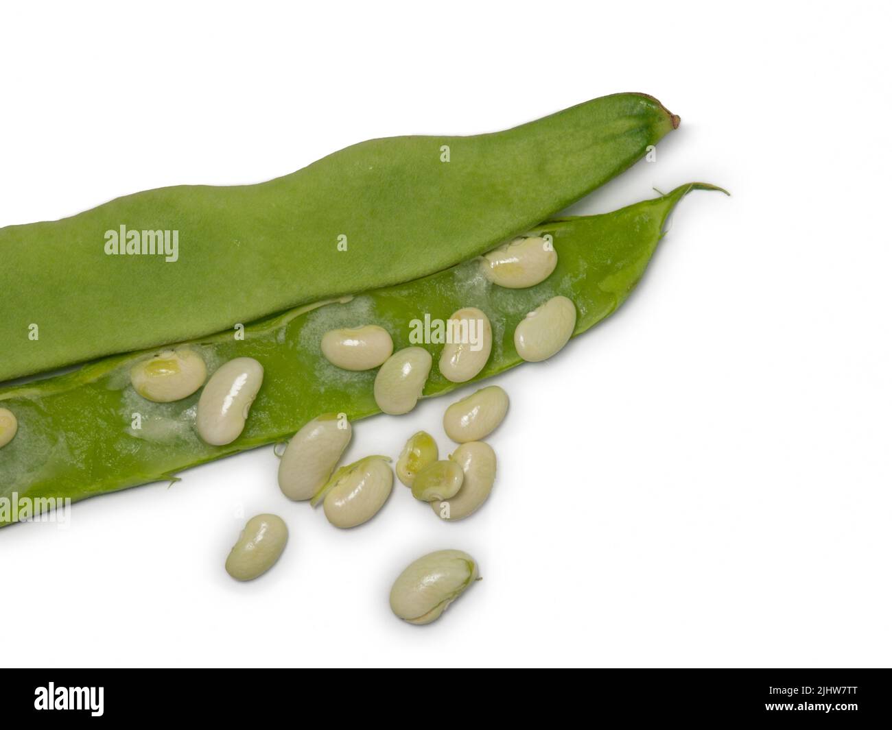 Pods of green beans on a white background. Opened bean pods. beans