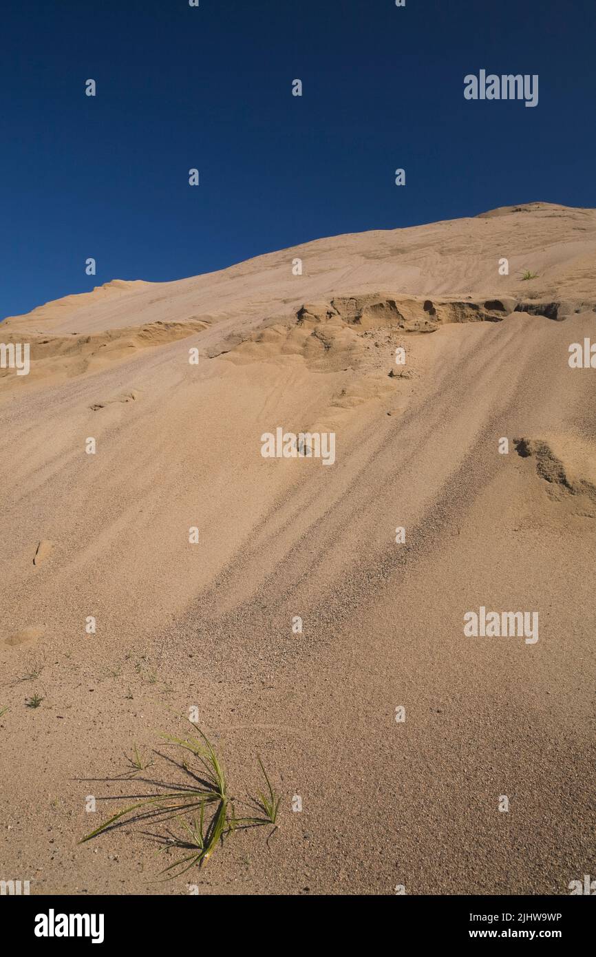 Mound of excavated fine sand in commercial sand pit Stock Photo Alamy
