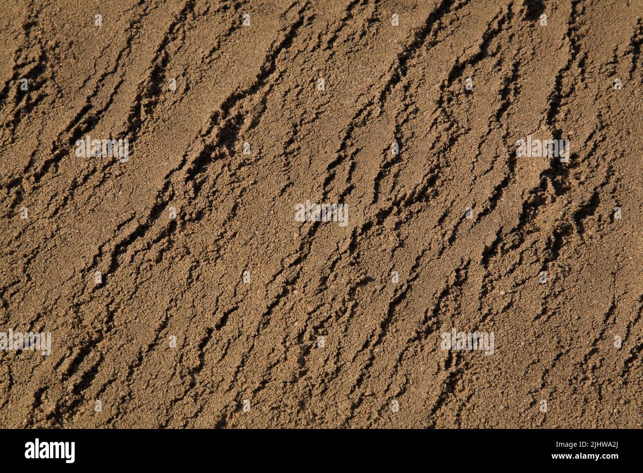Close-up of excavated fine sand in commercial sand pit. Stock Photo