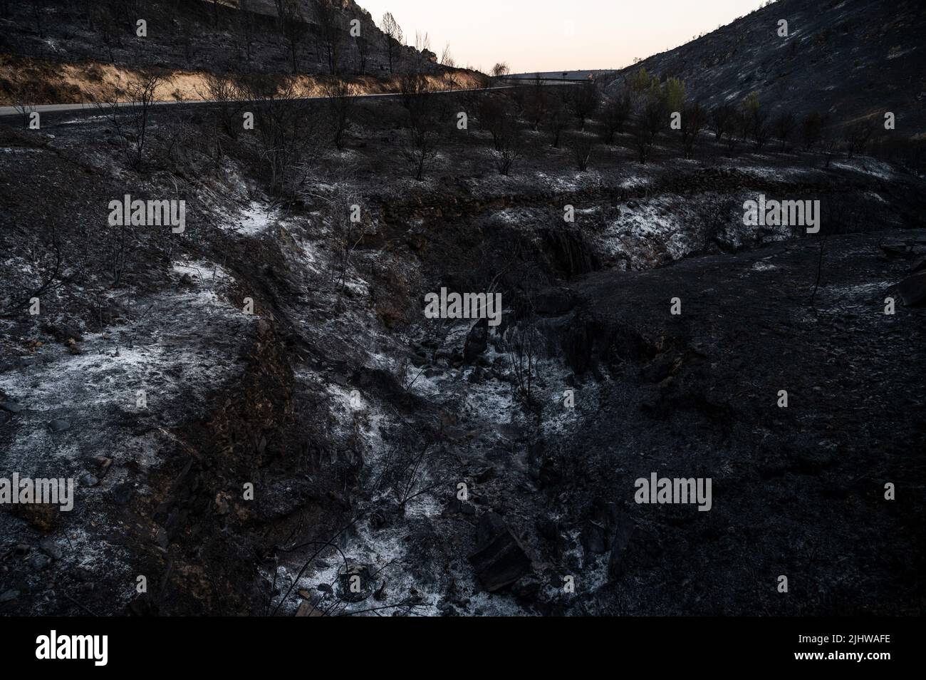 Guadalajara, Spain. 20th July, 2022. A burned field is seen near Valdepeñas de la Sierra, where a wildfire has burned more than 3,000 hectares. Wildfires have broken out across Spain amid a severe heatwave. Credit: Marcos del Mazo/Alamy Live News Stock Photo