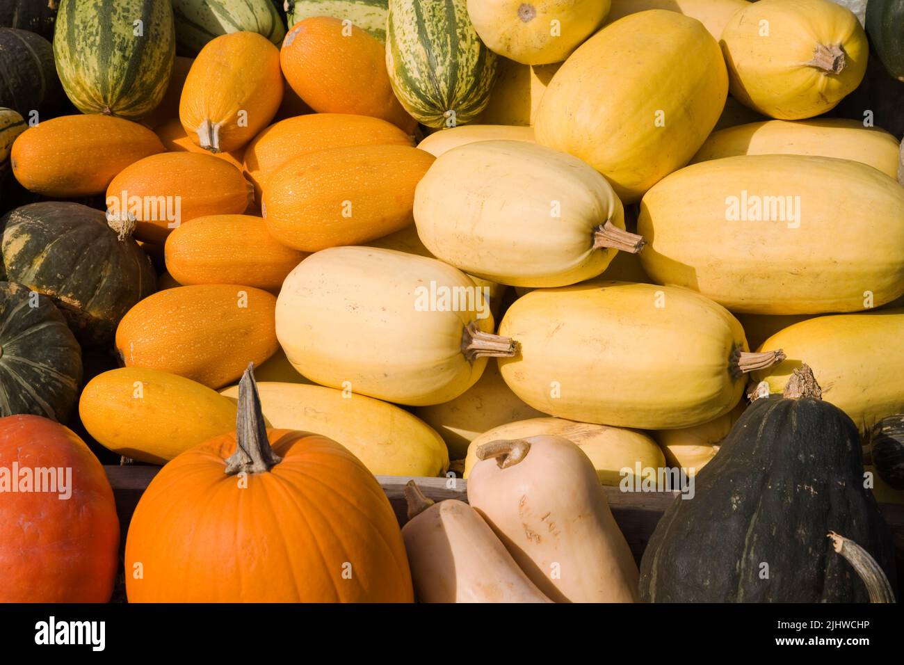 Assorted gourds in bin at an outdoor kiosk. Stock Photo