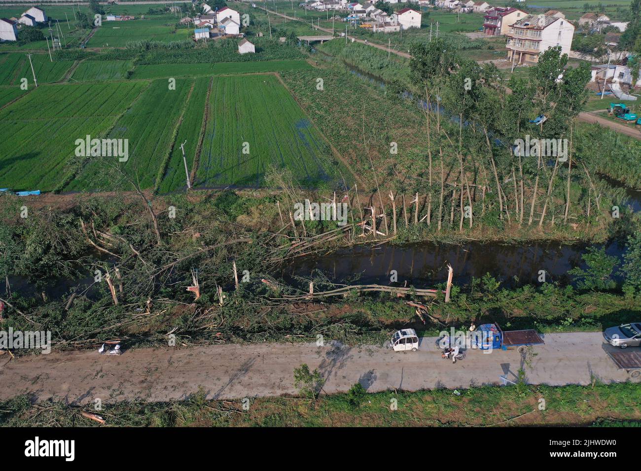 YANCHENG, CHINA - JULY 21, 2022 - Trees are broken by a tornado in ...