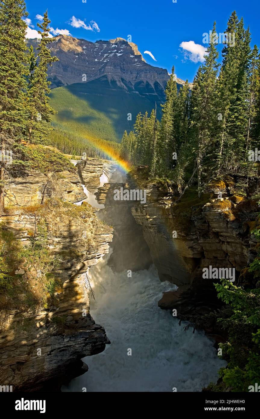A vertical of the Athabasca falls on the Athabasca river with a rainbow and Mount Kerkeslin looming in the background. Stock Photo