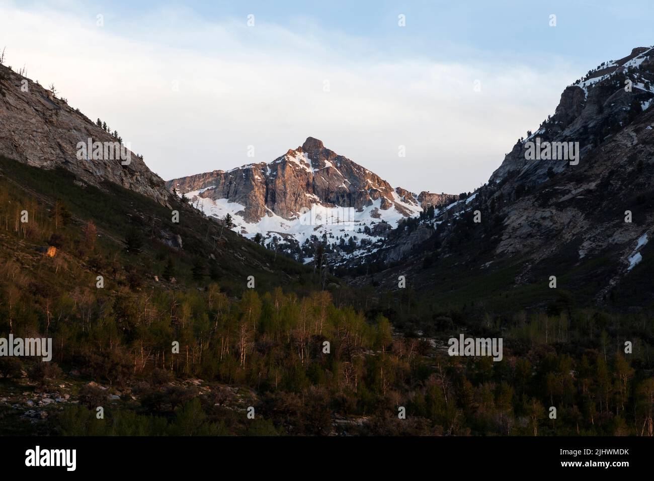 Mt. Fitzgerald rises above Thomas Canyon the Ruby Mountains south of Elko Stock Photo