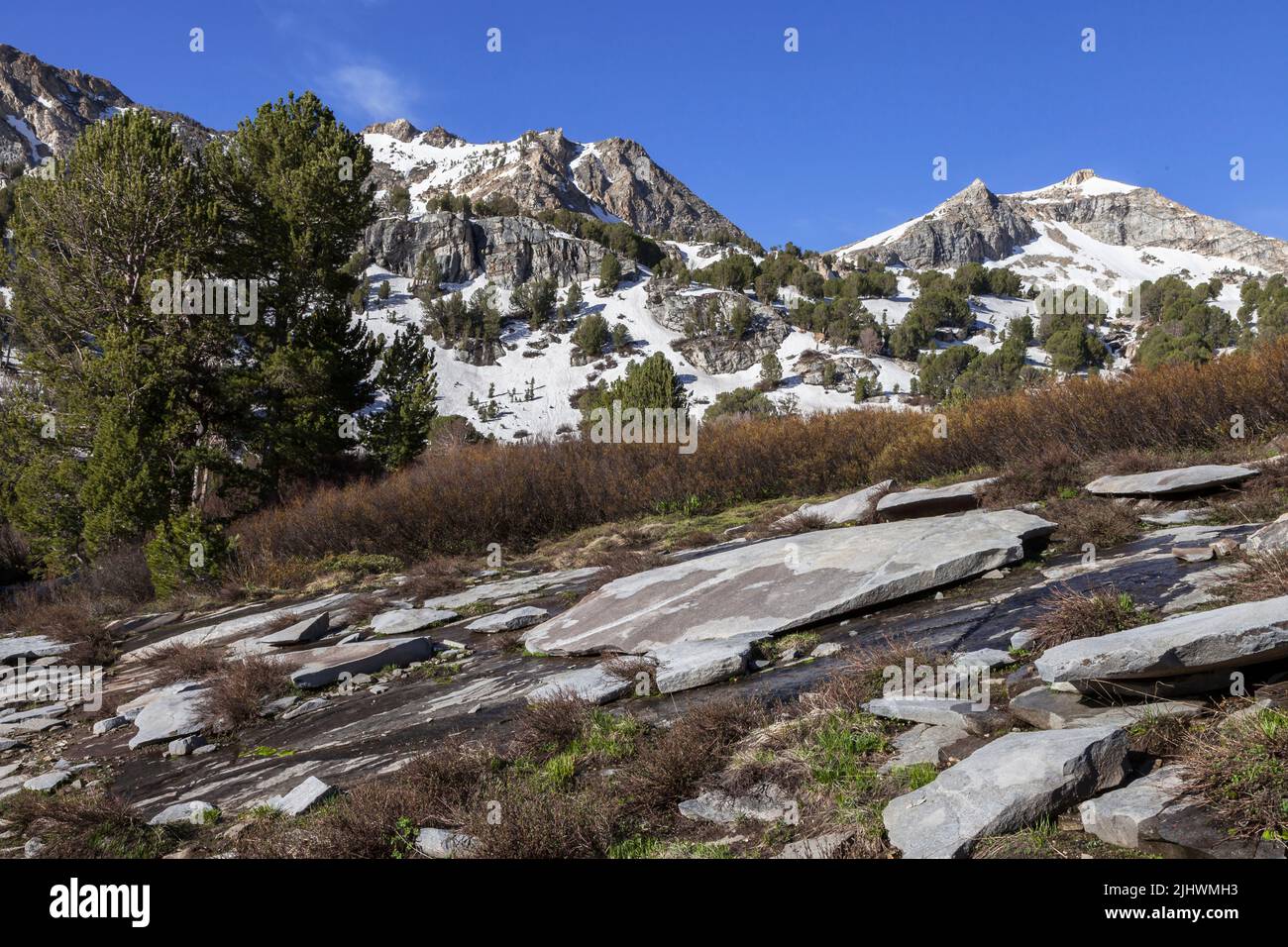 Exfoliating granite at Lamoille Canyon in Nevada's Ruby Mountains Stock Photo