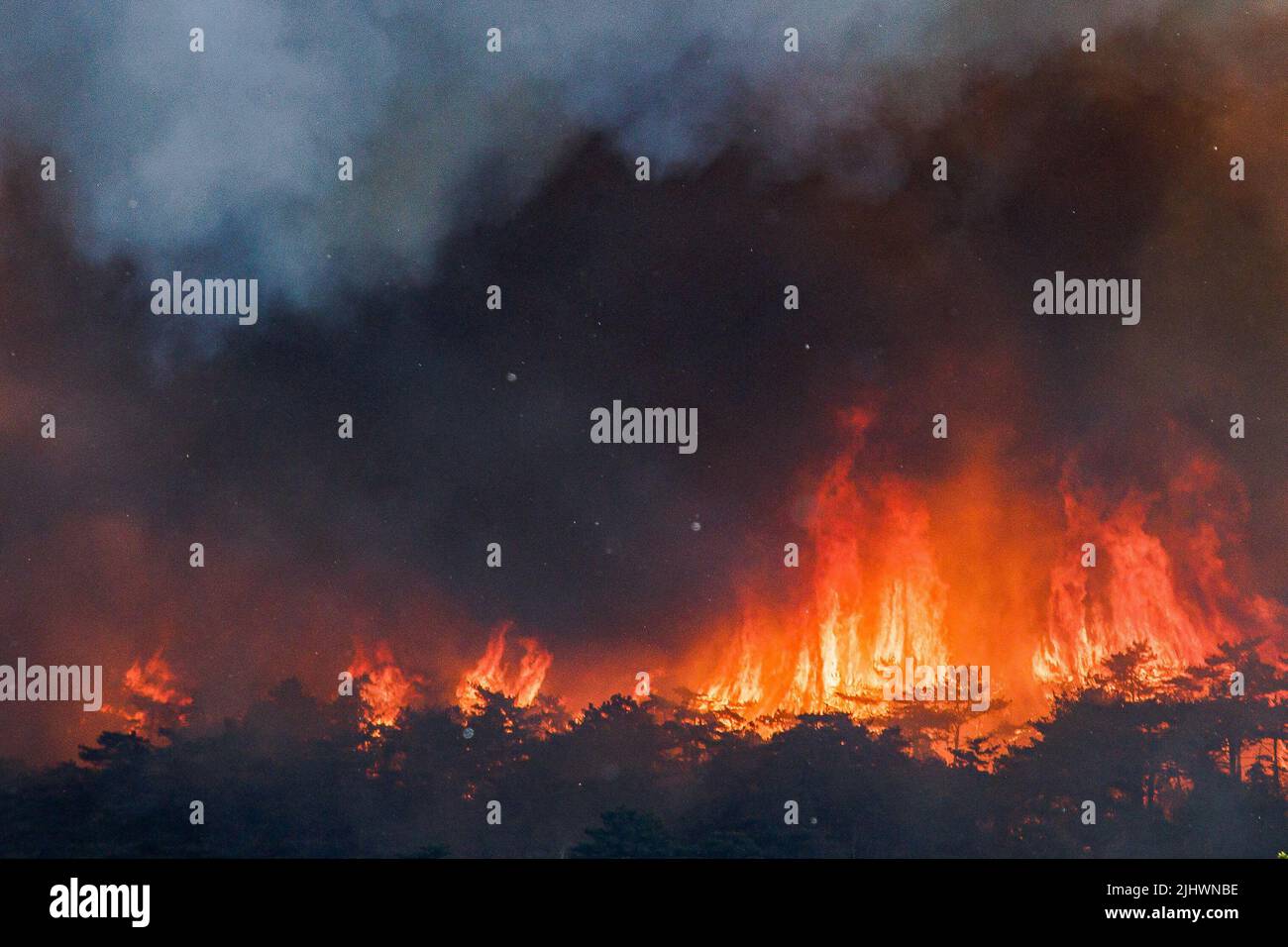Miren, Slovenia. 20th July, 2022. A large wildfire rages near Miren