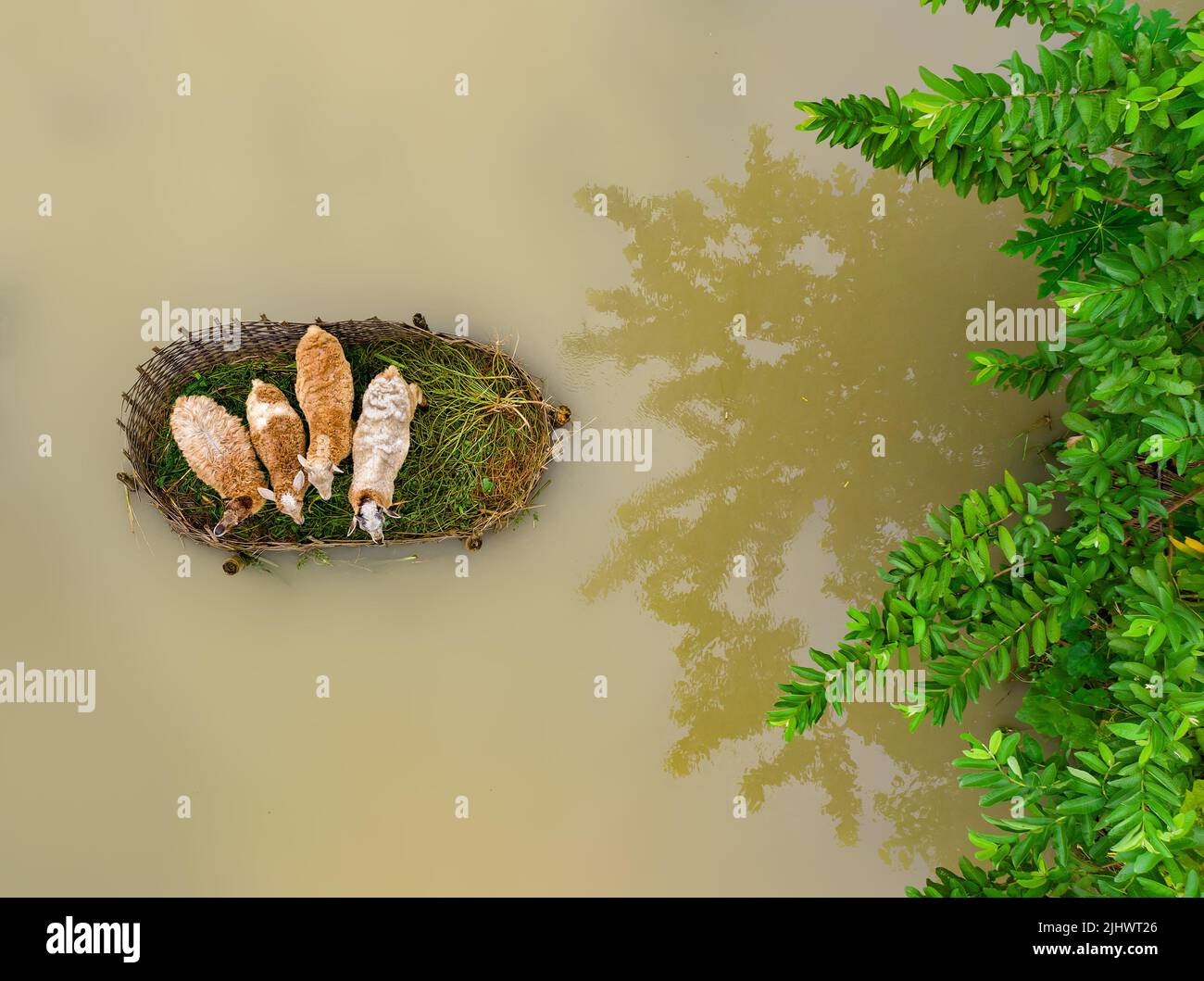 Flood affected villages in Bangladesh Stock Photo