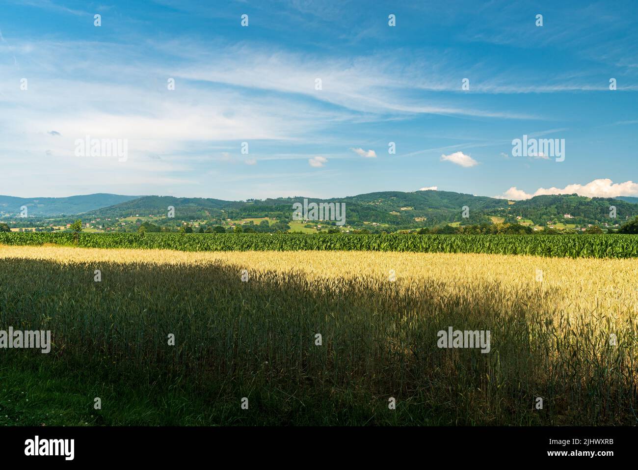 Surrounding of Hradek village with rural landscape and hills of Slezske Beskydy mountains in Czech republic during beautiful summer day Stock Photo