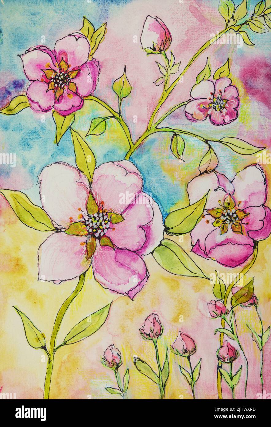 Sherry blossom watercolor doodle. The dabbing technique near the edges gives a soft focus effect due to the altered surface roughness of the paper. Stock Photo