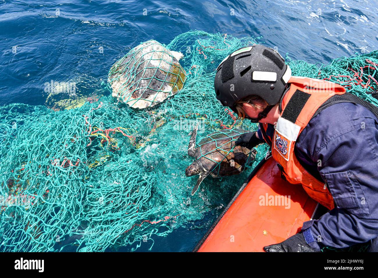 At Sea. 14th July, 2022. U.S. Coast Guard Petty Officer 3rd Class Caitlyn Mason, assigned to the Famous-class medium endurance cutter USCGC Mohawk (WMEC 913), rescues a sea turtle caught in a fishing net in the Atlantic Ocean, July 14, 2022. USCGC Mohawk is on a scheduled deployment in the U.S. Naval Forces Africa area of operations, employed by U.S. Sixth Fleet to defend U.S., allied, and partner interests. Credit: U.S. Coast Guard/ZUMA Press Wire Service/ZUMAPRESS.com/Alamy Live News Stock Photo