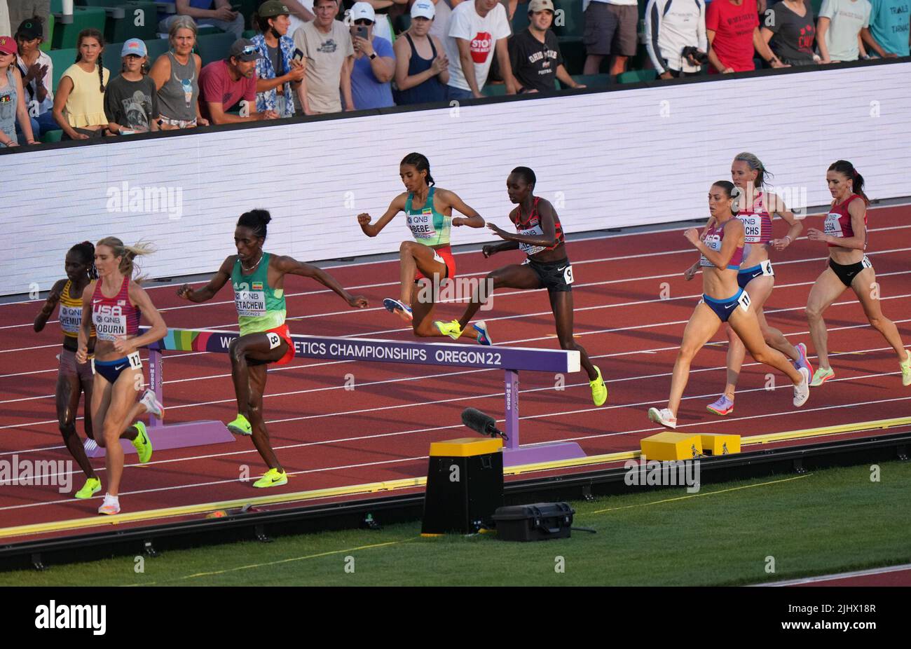 Mekides abebe hires stock photography and images Alamy