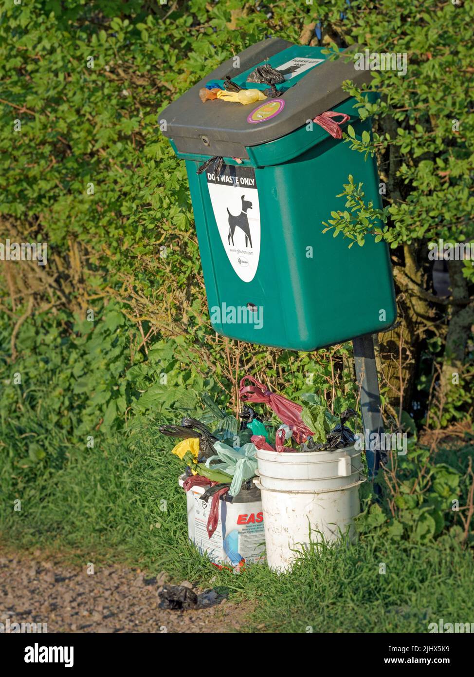Overflowing dog waste bin, Wicken Fen, Cambridgeshire Stock Photo