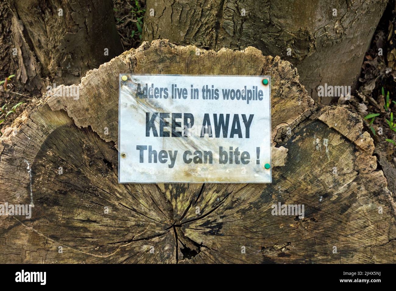 Sign warning of the presence of Adder snakes in a woodpile, Suffolk, England Stock Photo