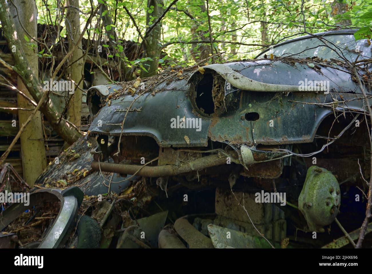 A shot of an abandoned and old car in the forest Stock Photo - Alamy