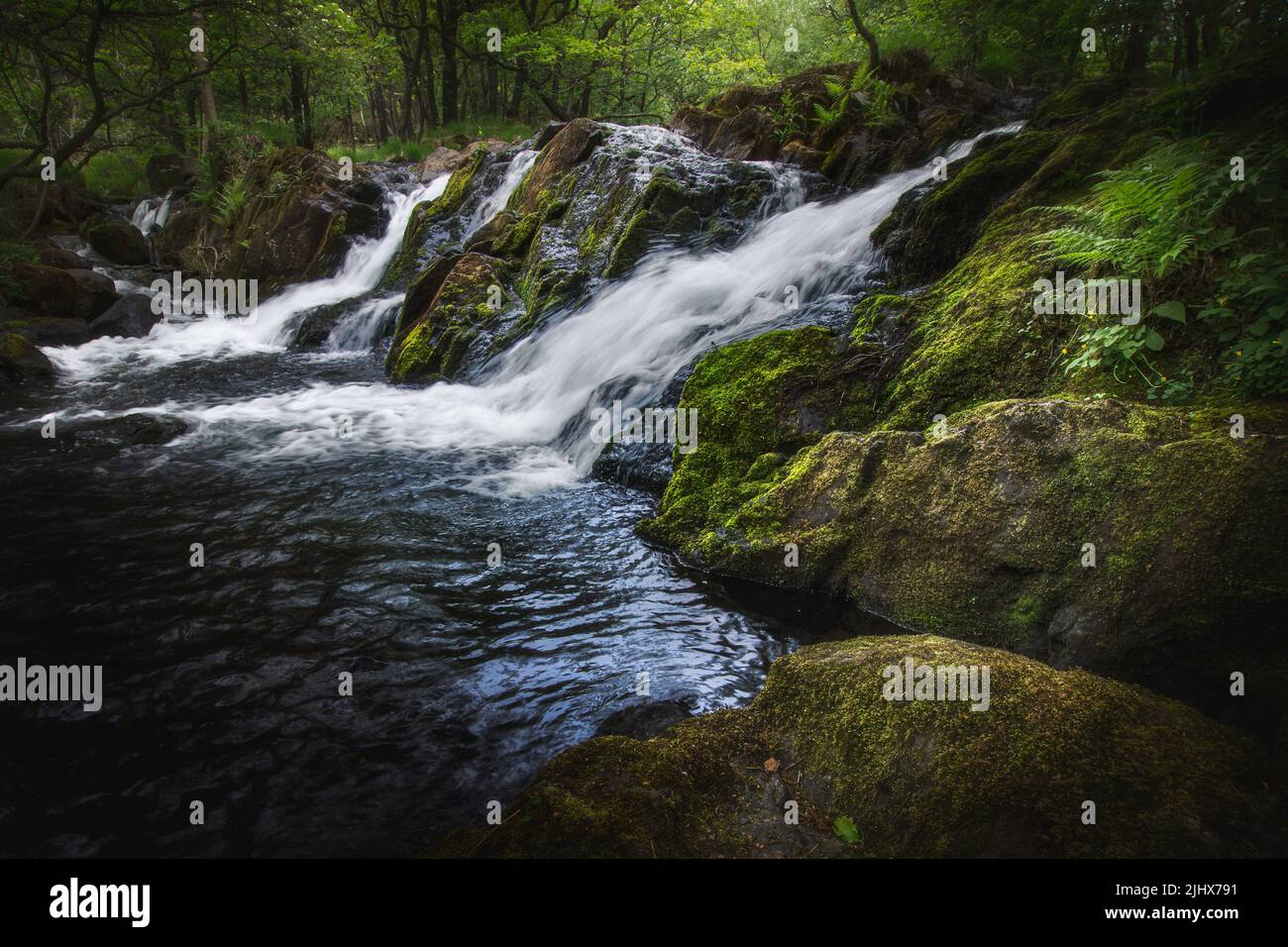 Waterfall in Lake District woodland. Beautiful and tranquill landscape scene. Pristine natural environment. Stock Photo