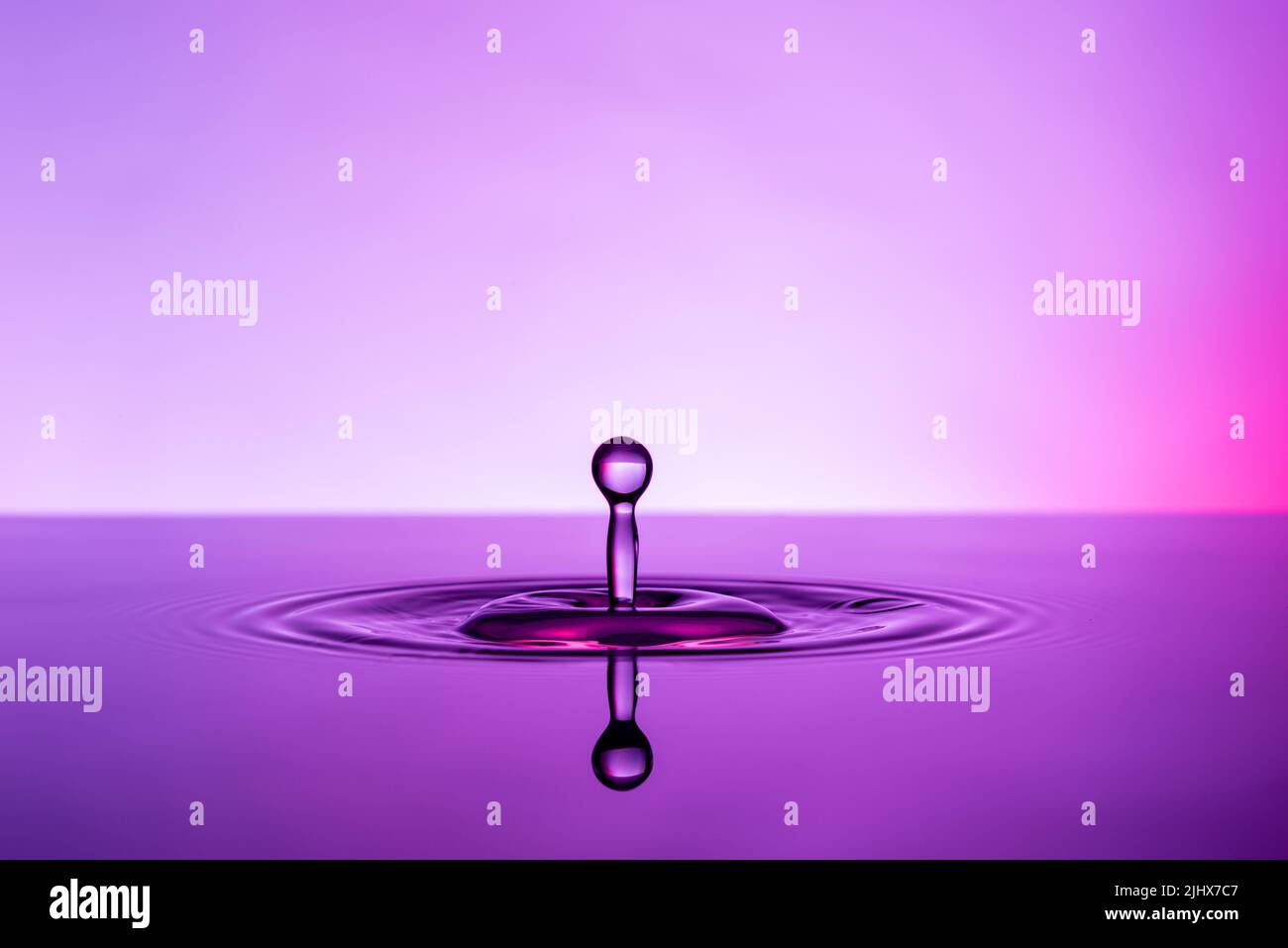 waters drop in purple background Stock Photo