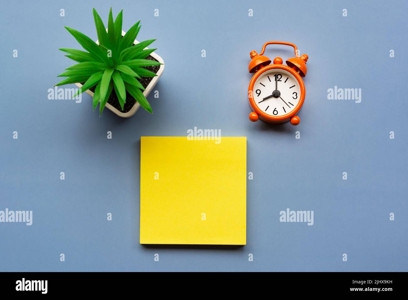Adhesive Note with potted plant and alarm clock set at 8 o'clock. Copy