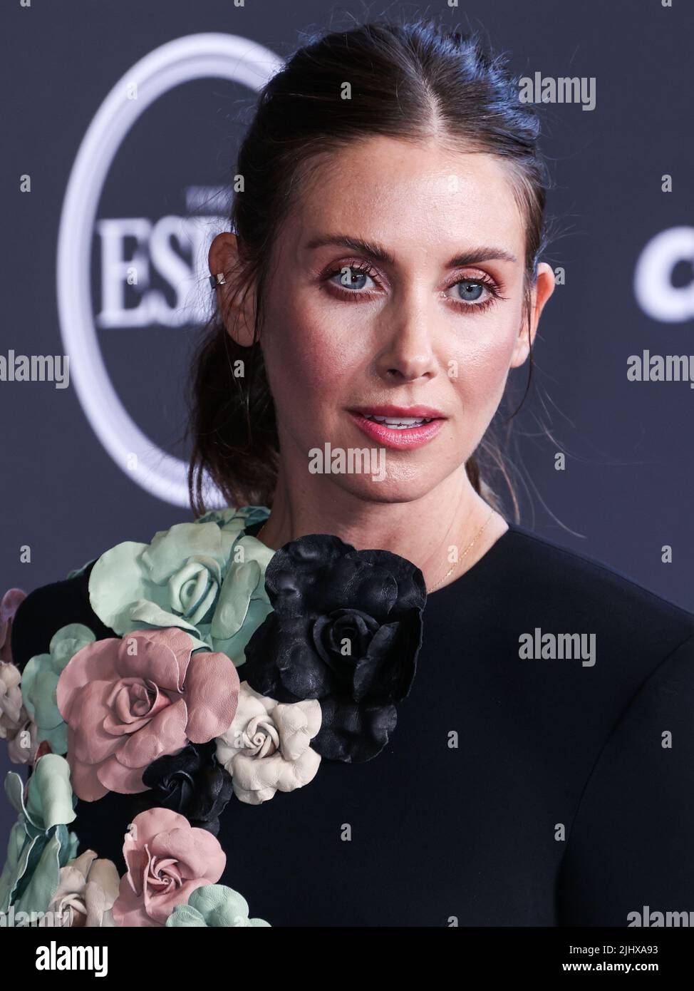 Joanne Schermerhorn's Instagram, Twitter & Facebook on IDCrawl