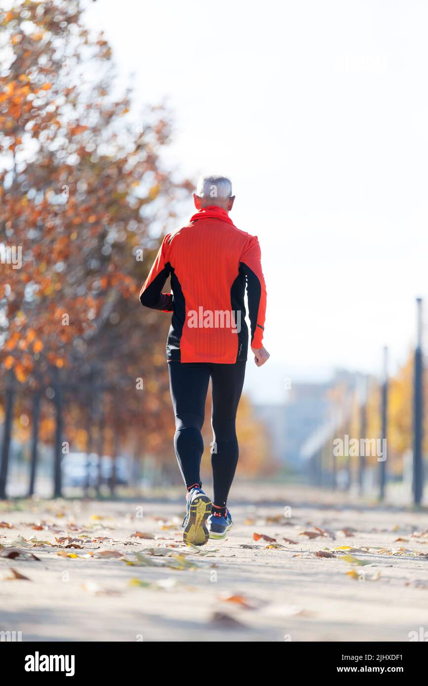 Rear view unrecognizable senior hi-res stock photography and images - Alamy