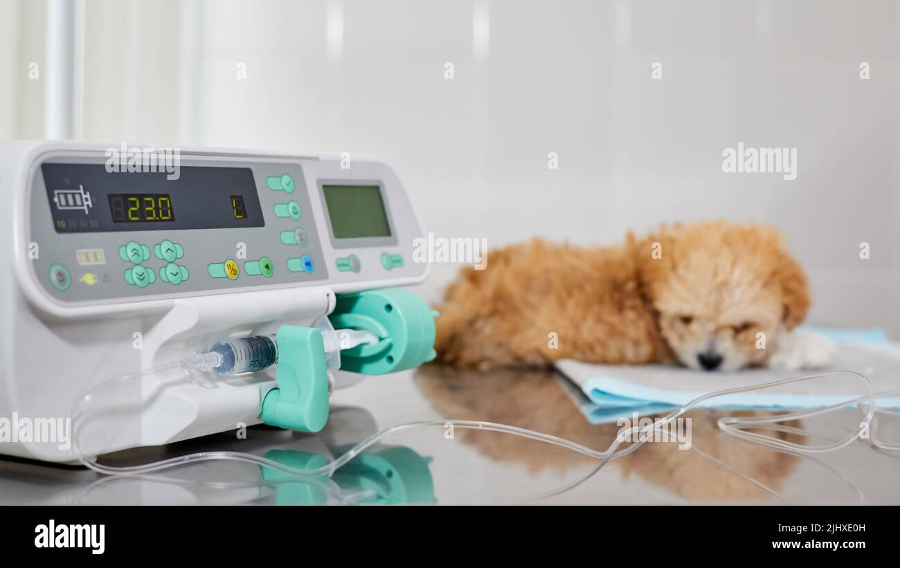 An infusion pump is used to slowly medicine injection to a sick
