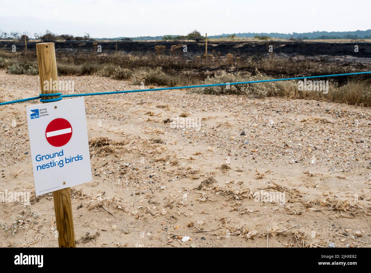 Ground nesting birds sign in front of heathland destroyed in fire at Snettisham Country Park on east shore of the Wash, during heatwave of July 2022. Stock Photo