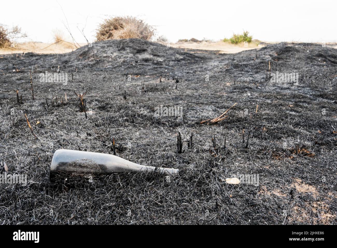 An old glass bottle left exposed after a grass fire on an area of heathland. Stock Photo