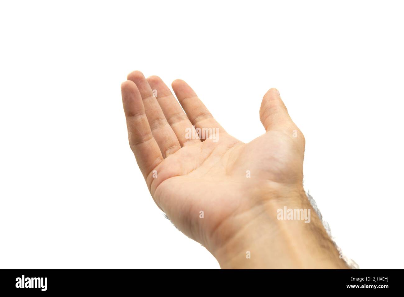 Adult hand reaching up in the air on a white background Stock Photo Alamy