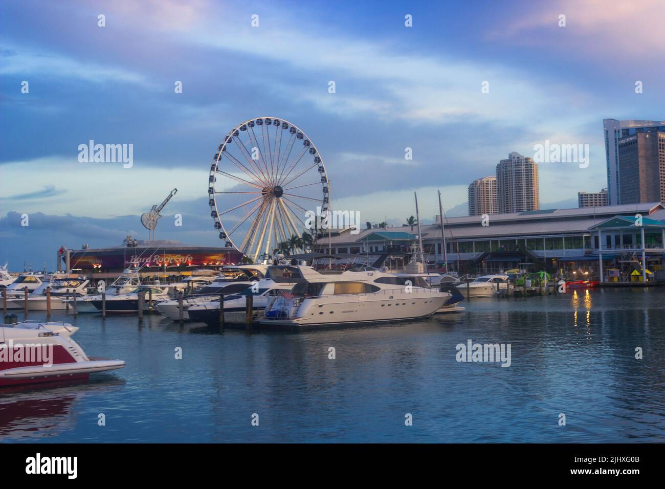 Skyview Miami Observation Wheel and Hard Rock Café in Bayside Marketplace Stock Photo