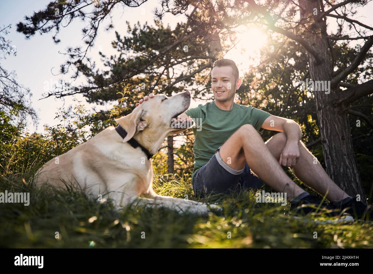 Man with his dog sitting in grass under tree. Pet owner stroking his labrador retriever during sunny summer day. Stock Photo