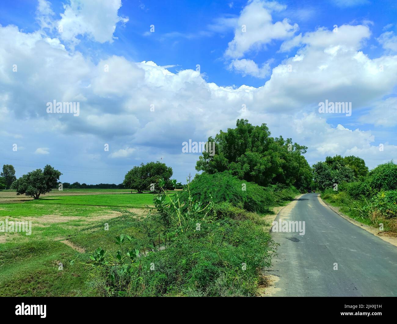 Indian village scene hi-res stock photography and images - Alamy