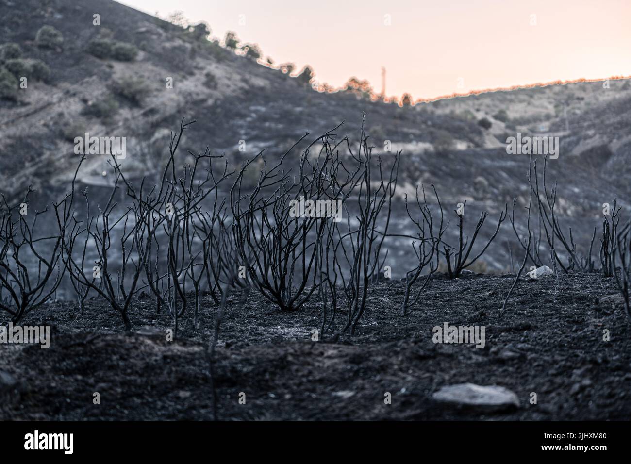 Madrid, Spain. 20th July, 2022. The mountain of Valdepeñas de la Sierra devastated by the flames of the fire. The Red Cross shelter in the town of Uceda, next to Valdepeñas de la Sierra, welcomed more than 150 people from the towns affected by the fire. The forest fire that lasted more than 48 hours in Valdepeñas de la Sierra, 80 kilometers from Madrid, Spain, destroyed more than 3,000 hectares. The authorities suspect that the fire could have been caused by a pyromaniac during the days of high heat temperatures recorded in Spain. Credit: SOPA Images Limited/Alamy Live News Stock Photo