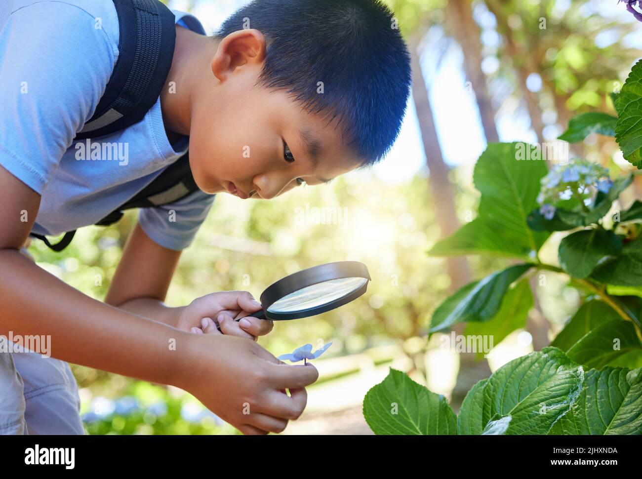 Exploring. a young boy using a magnifying glass outside Stock Photo - Alamy