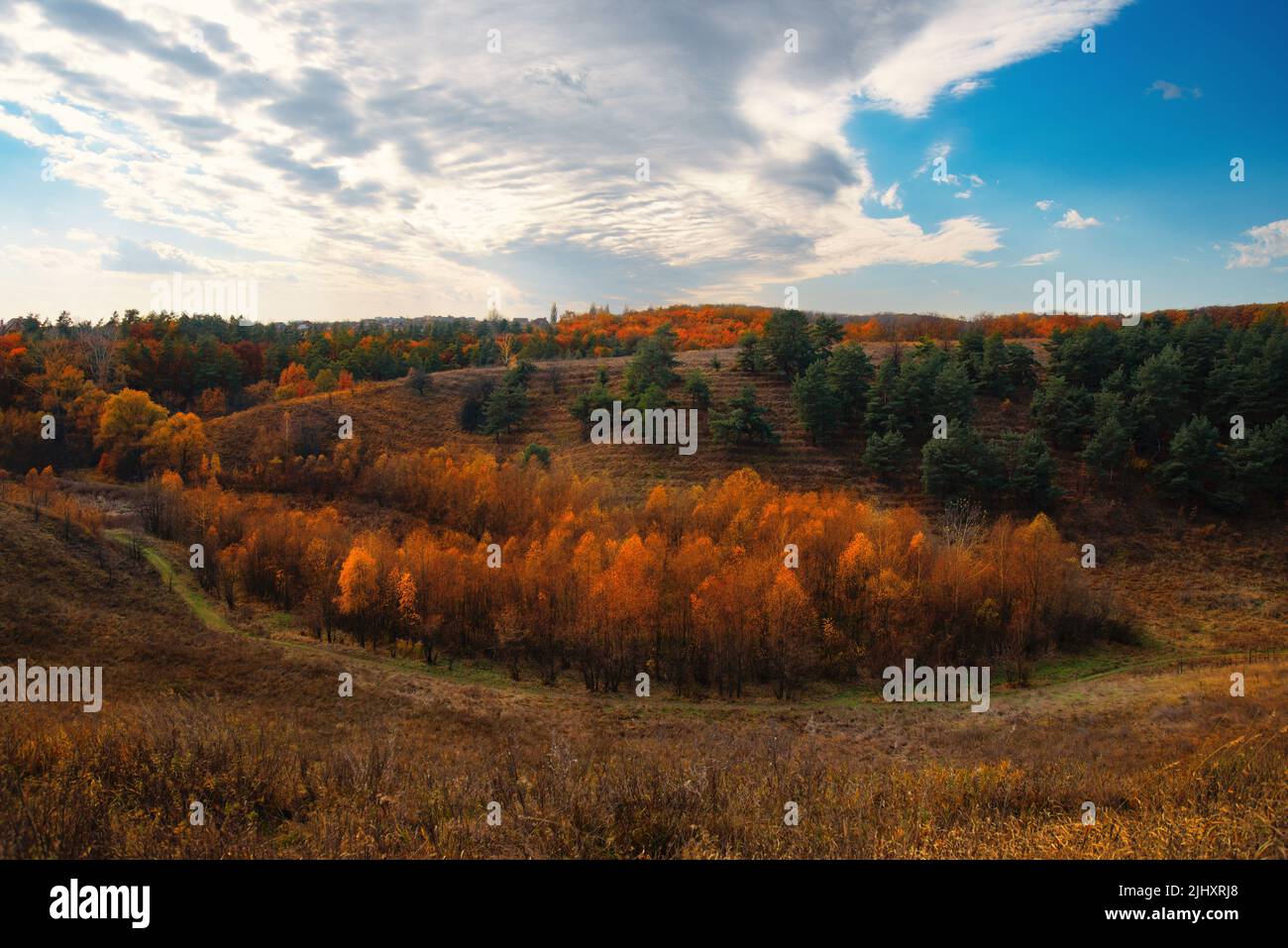 Bright autumn sunset over trees on hills in Ukraine Stock Photo