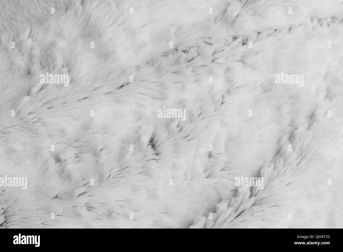 White wool texture fur background pattern warm abstract soft material fluffy animal nature skin light. Stock Photo