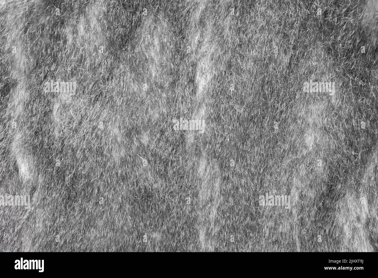 Faux fur grey wool abstract pattern nature skin soft warm fluffy background texture. Stock Photo