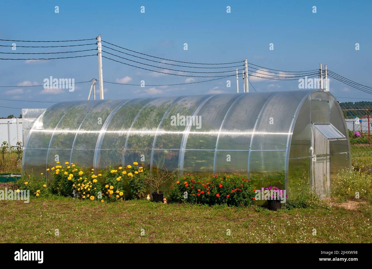 Greenhouse made of polycarbonate country garden garden gardener. Stock Photo
